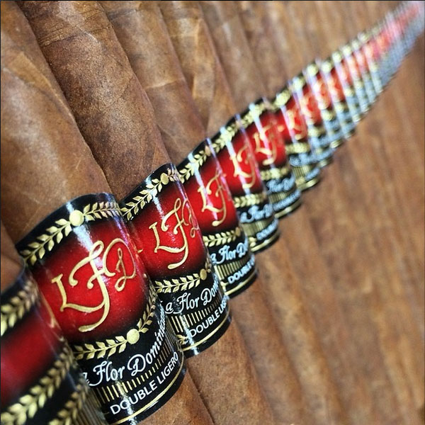 DOUBLE LIGERO DL Chisel Maduro